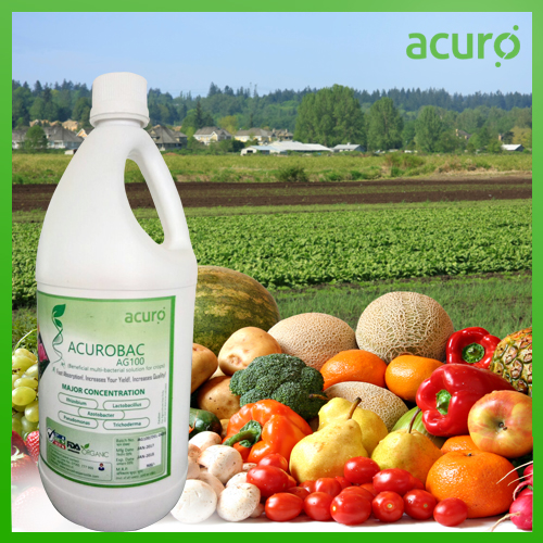 ACUROBAC AG100 :- Beneficial Bacterial solution